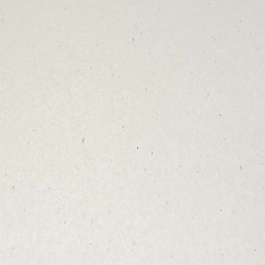 Seashell #NS3058- 4x4 image