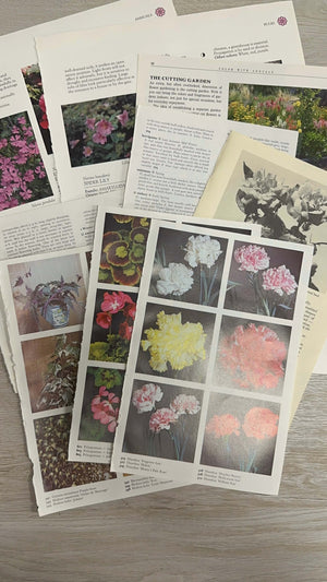 Flowers Junk Journal card kit - March 2024