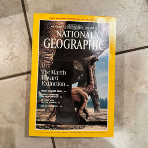 1980s National Geographic magazines