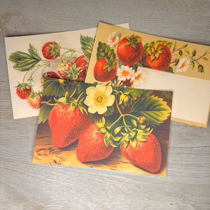 Strawberry postcards