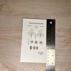 Fruit patent postcards