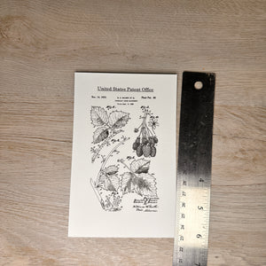 Fruit patent postcards