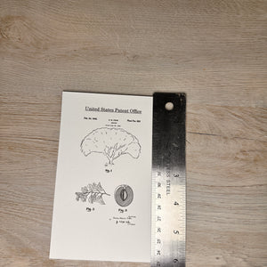 Fruit patent postcards