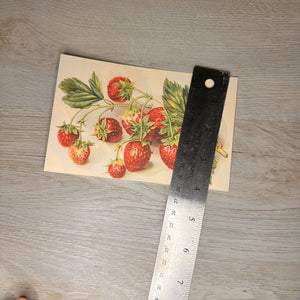 Strawberry postcards