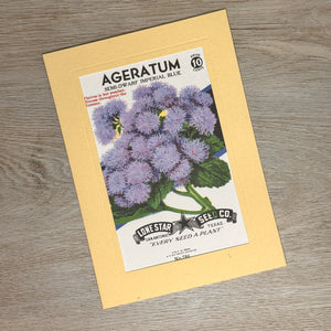 Flower seed packet cards