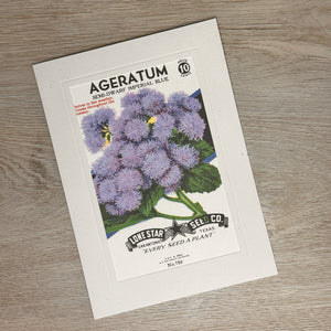 Flower seed packet cards