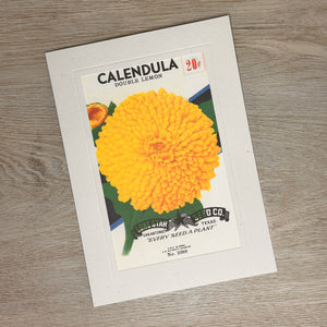 Flower seed packet cards