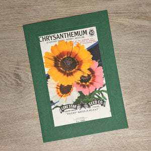 Flower seed packet cards