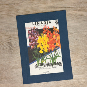 Flower seed packet cards