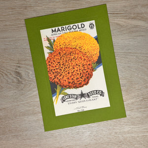 Flower seed packet cards