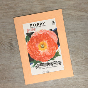 Flower seed packet cards