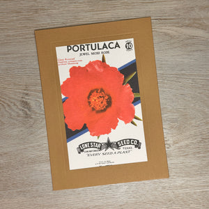 Flower seed packet cards