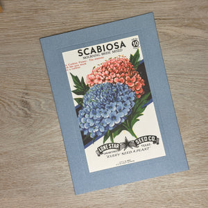 Flower seed packet cards