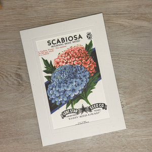 Flower seed packet cards