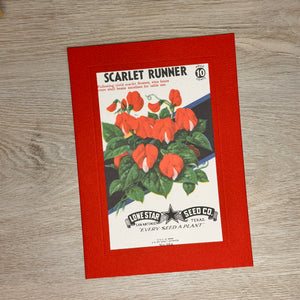 Flower seed packet cards