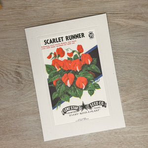 Flower seed packet cards