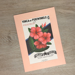 Flower seed packet cards