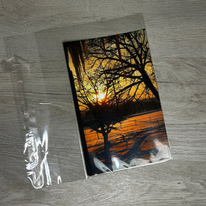 Shaker card clear bags - 3 sizes