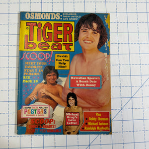Tiger Beat magazines