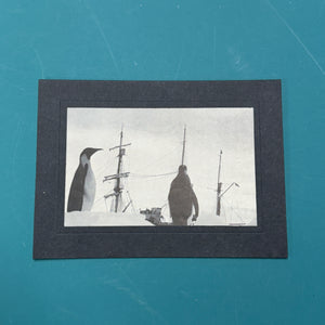 Vintage Nature cards