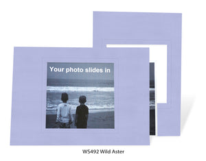 Wild Aster #WS492 - 4x4 image