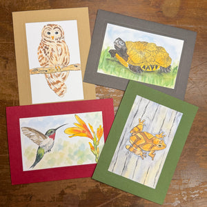 Woodland Wonders