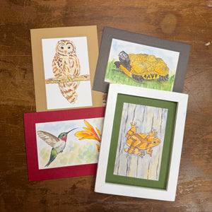 Woodland Wonders