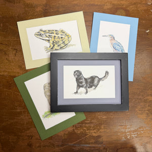 Creekside Critters