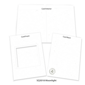 Moonlight #NS3018- 4x4 image