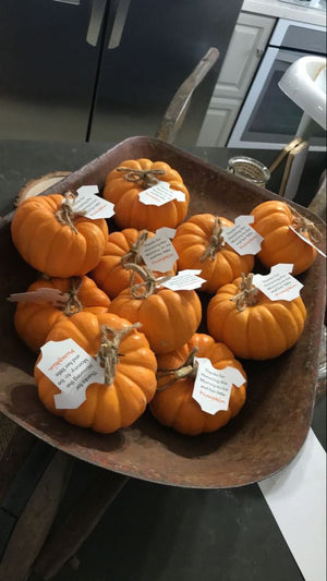 Baby Onesie - "Little Pumpkin"