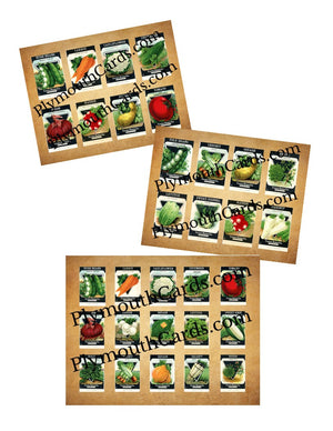 Vintage Seed Packets mini cards sheet - Digital file