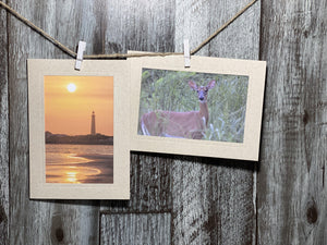 Wheat #CC705-Photo note cards-Plymouth Cards