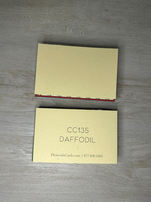 Paper Packs - 4" x 6" - 48 pack-Plymouth Cards