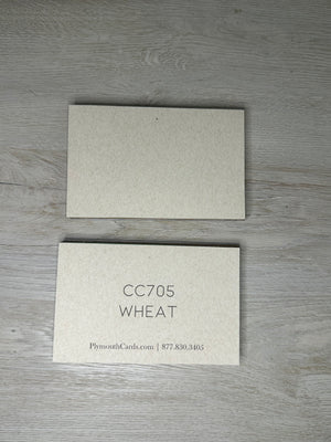 Paper Packs - 4" x 6" - 48 pack-Plymouth Cards