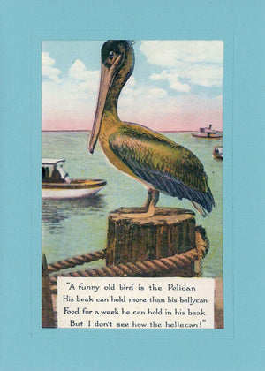 Pelican Hellecan-Greetings from the Past-Plymouth Cards