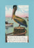 Pelican Hellecan-Greetings from the Past-Plymouth Cards