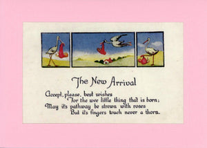 The New Arrival-Greetings from the Past-Plymouth Cards
