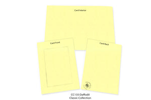Daffodil #CC135-Photo note cards-Plymouth Cards