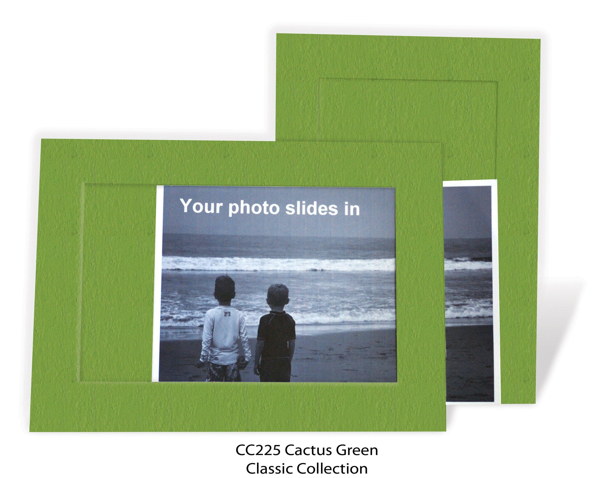 Cactus #CC225-Photo note cards-Plymouth Cards