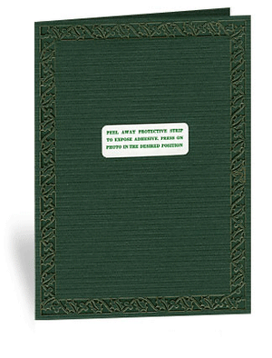 Holly Card - Laser cut design - PLYMOUTH CARD COMPANY
- 4