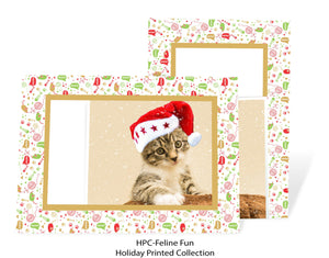 Feline Fun-Photo note cards-Plymouth Cards