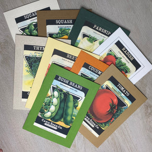 Swiss Chard-Plymouth Cards
