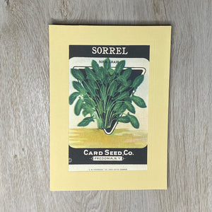 Sorrel-Greetings from the Past-Plymouth Cards