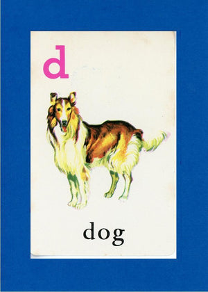 D is for Dog-Alphabet Soup-Plymouth Cards