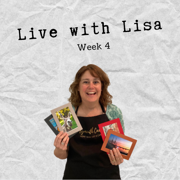 Live with Lisa Week 4: Catalog Contest Winners Announced!-Plymouth Cards