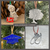 Pewter Collection