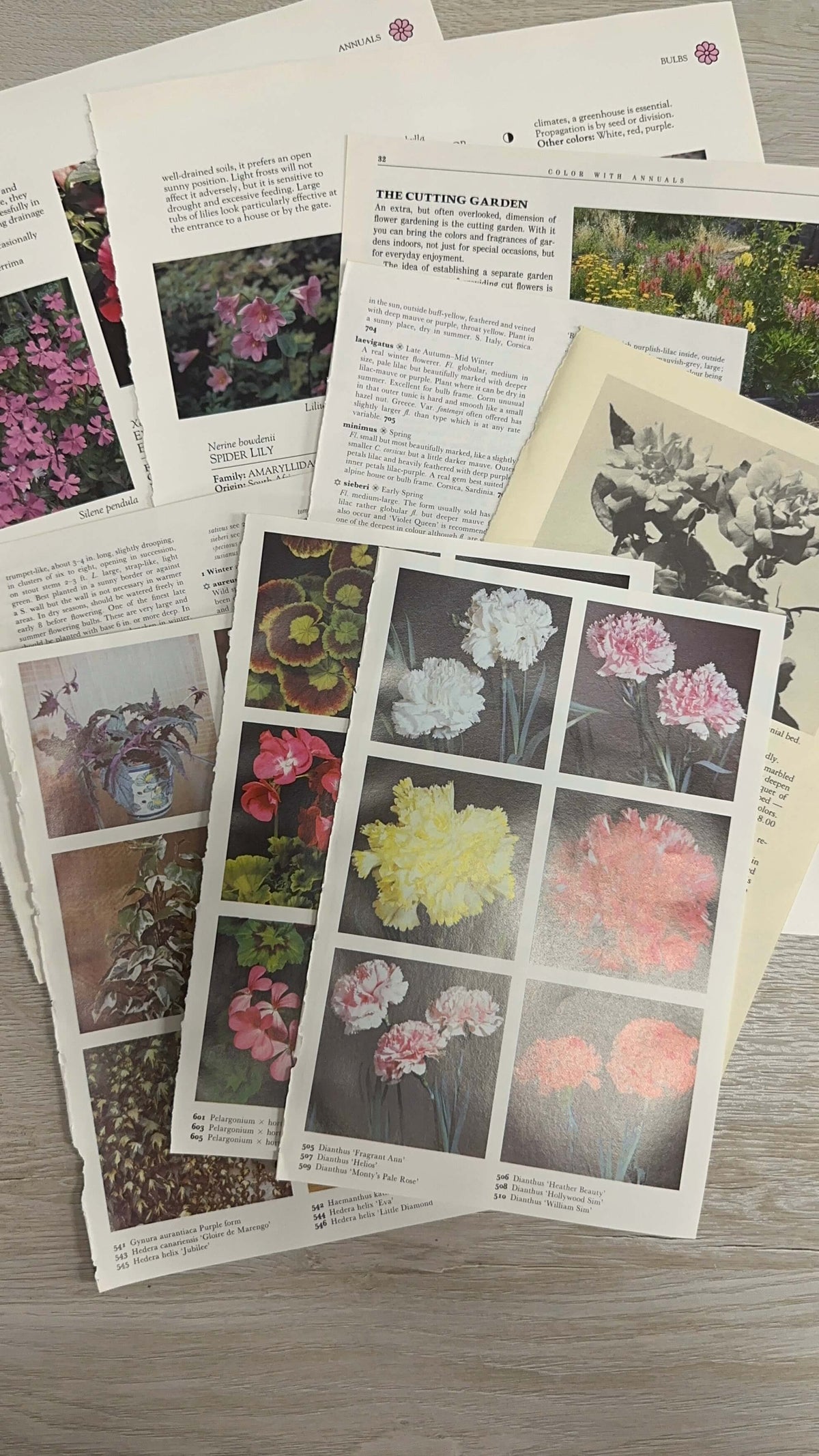 Flowers Junk Journal card kit - March 2024