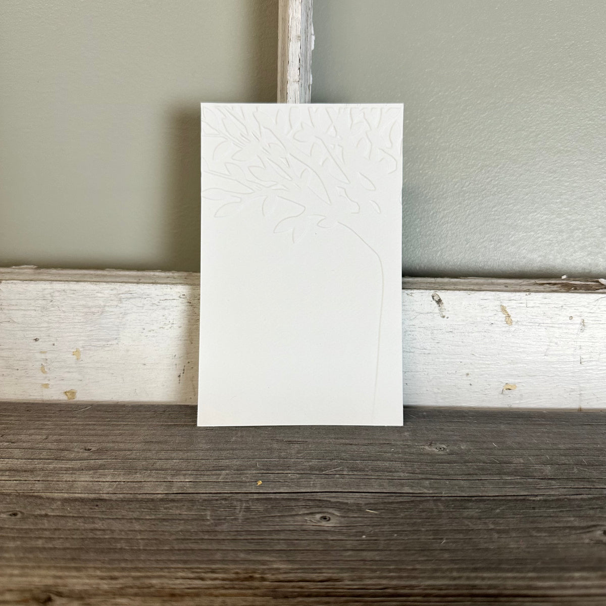 Embossed Cardstock Paper Packs - 10 pack