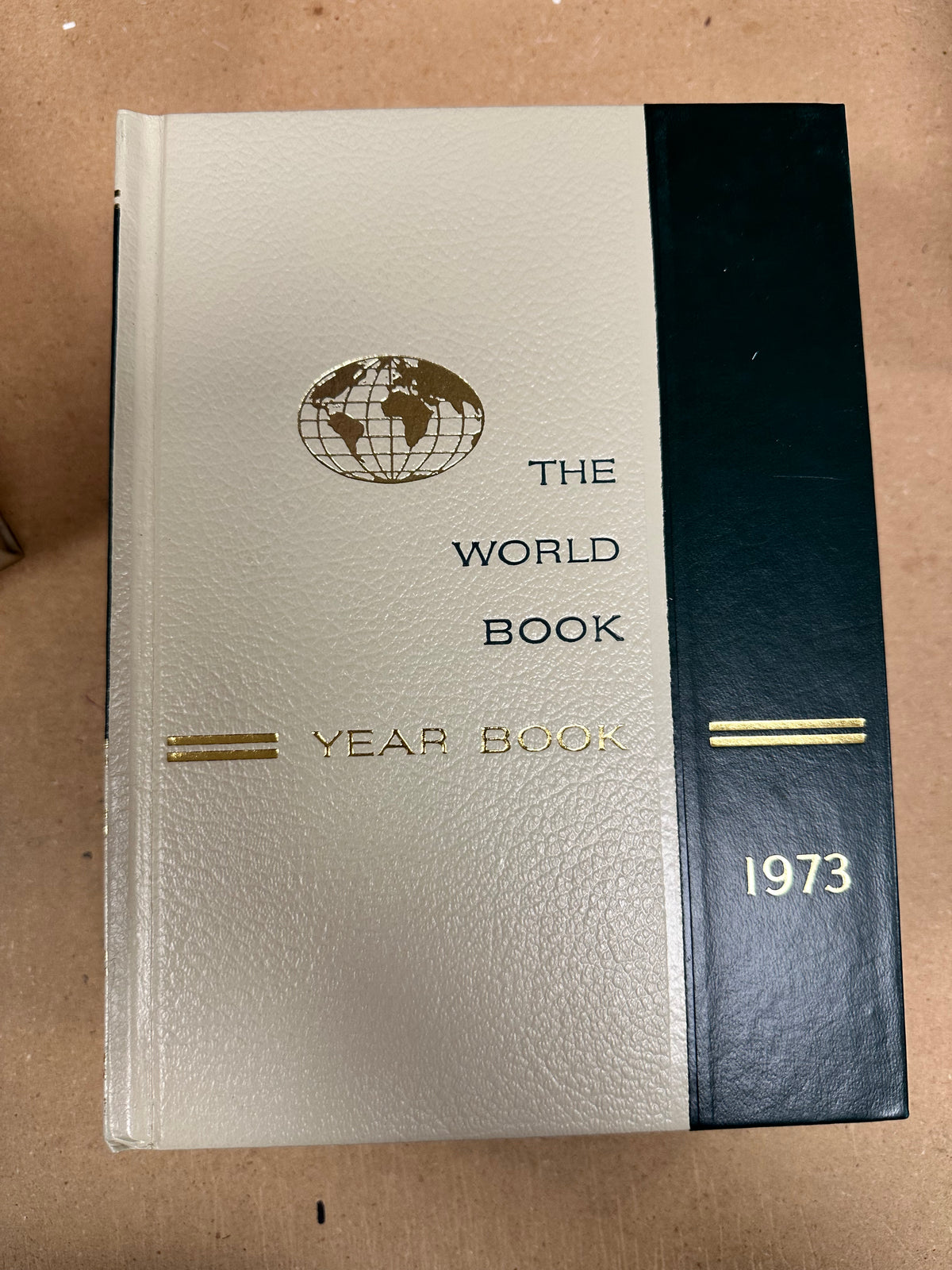 Year in Review books