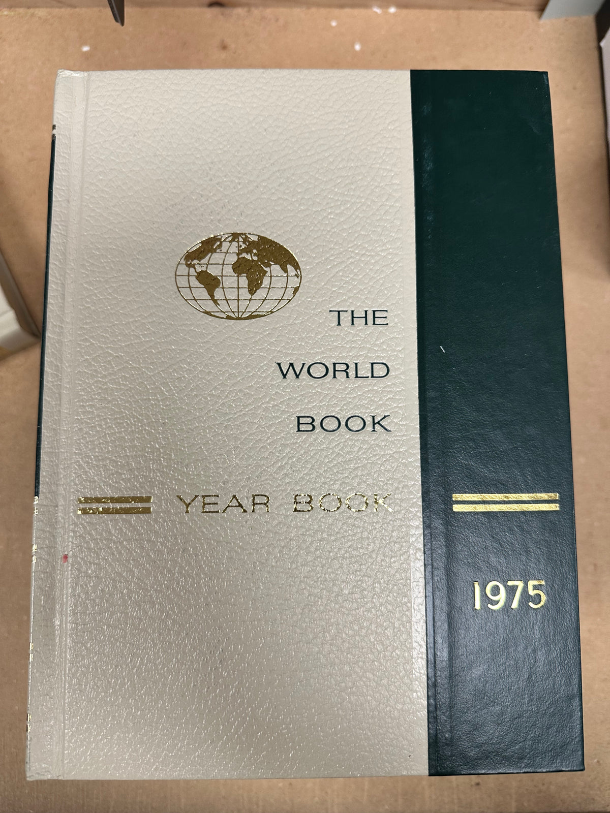 Year in Review books